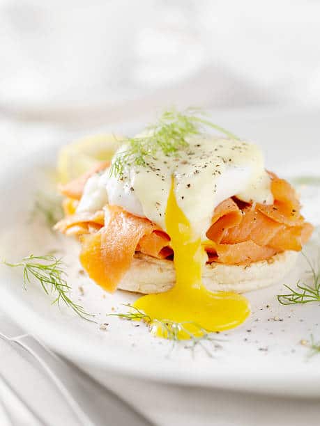 salmon & eggs